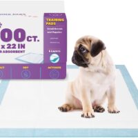 BV Puppy Pads Leak-Proof 100 Count 22"x 22" | Pee Pads for Dogs Quick Absorb 6-Layer- Dog Pee Pads- Dog Pads 100 Pack- Potty Pads for Dogs- Puppy Pee Pads, Pee Pad Training Pads for Dogs, Pet Pee Pads